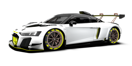 Audi R8 LMS GT2 2019